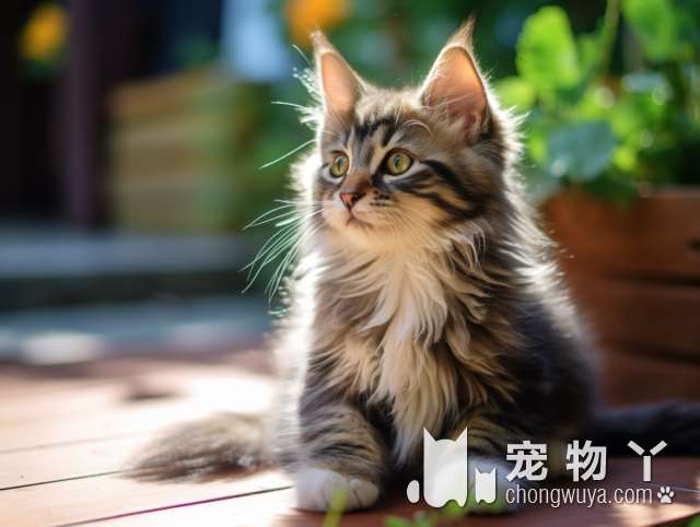 密闭车内频遭“猫贼”捣乱，却始终不见真身，直到把整车都拆了！